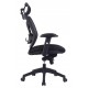 Newton Mesh Executive Office Chair